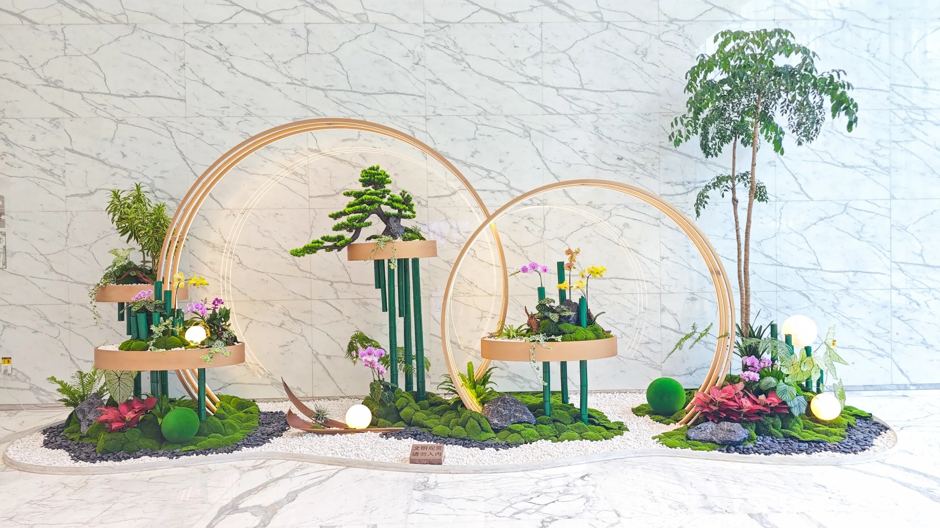 专业花卉出租，让宁波奉化焕发生机与色彩